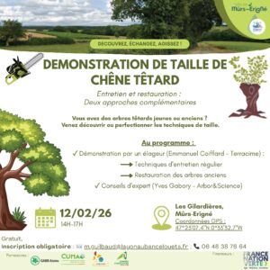 Démonstration de taille de chêne têtard @ Les Gilardières, Mûrs-Erigné