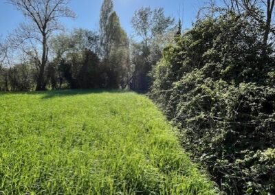 LABEL « HAIE », SOURCE DE REVENU AGRICOLE